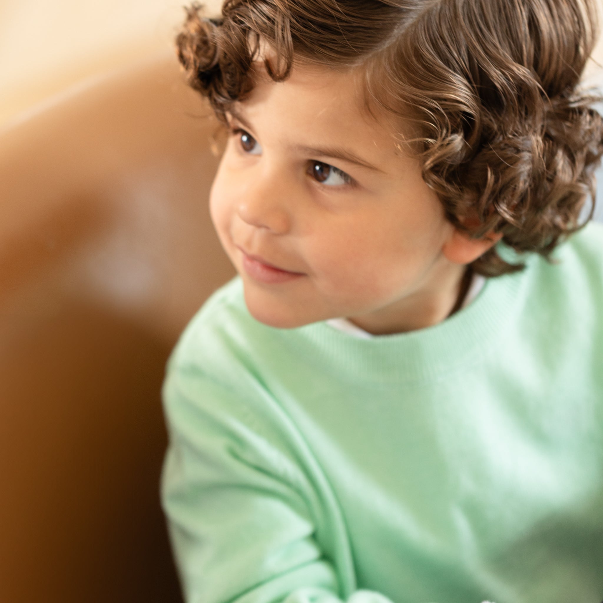 Boys mint green crewneck sweater by Henry Duvall, classic knit fall layer that coordinates with Beacon Hill Blooms for family and sibling outfits