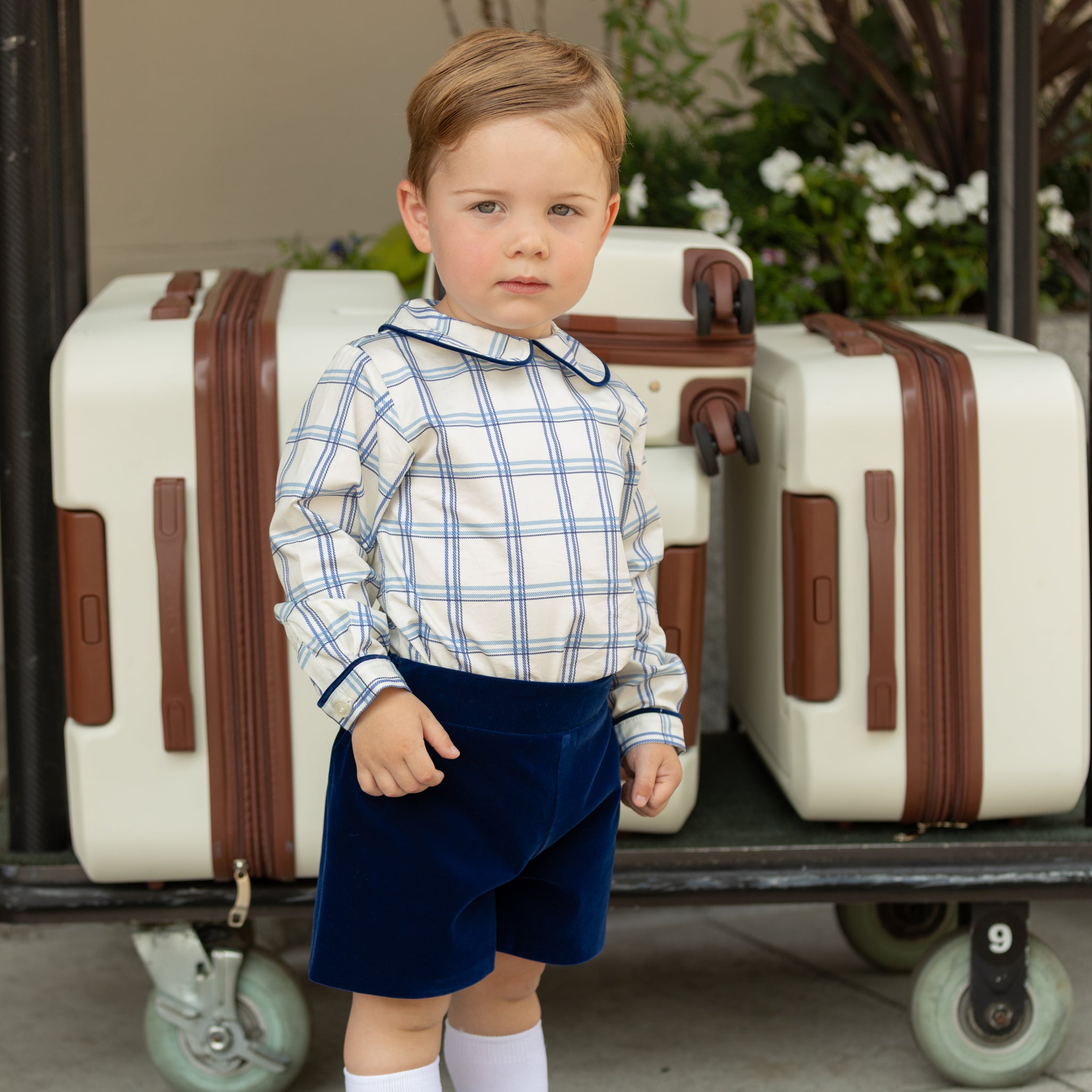 Henry Duvall Robert Shorts in Back Bay Blue Velvet, classic toddler boys fall dress shorts with flat front and elastic back, perfect for pairing with plaid shirts and sibling looks
