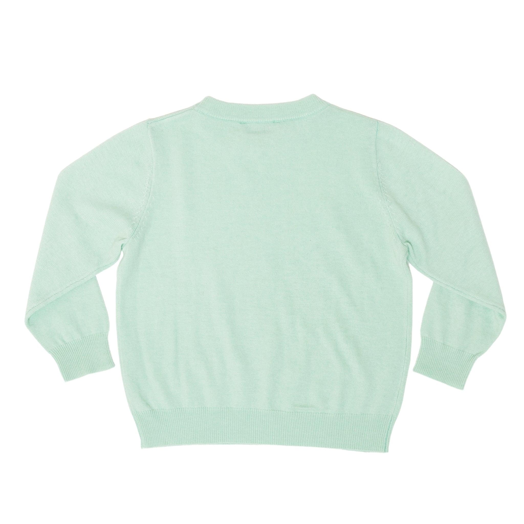 Boys mint green crewneck sweater by Henry Duvall, classic knit fall layer that coordinates with Beacon Hill Blooms for family and sibling outfits