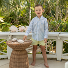 Henry Duvall blue gingham Bennett button down shirt in soft cotton, classic preppy boys spring wardrobe staple for Easter and sibling matching