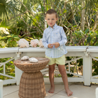 Henry Duvall blue gingham Bennett button down shirt in soft cotton, classic preppy boys spring wardrobe staple for Easter and sibling matching