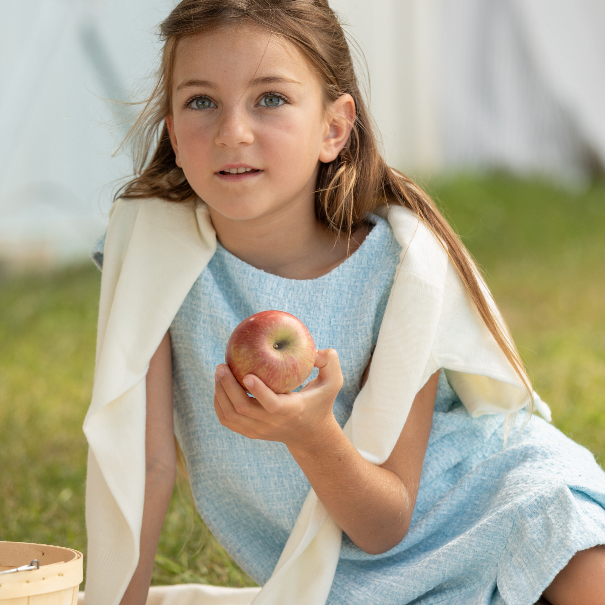 Henry Duvall Bay Tree Blue Tweed Dress for older girls, classic fall tweed dress with cap sleeves and box pleat hem, elegant and age-appropriate for seasonal occasions