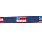 Nylabone dog chew toy with American flag pattern on a white background