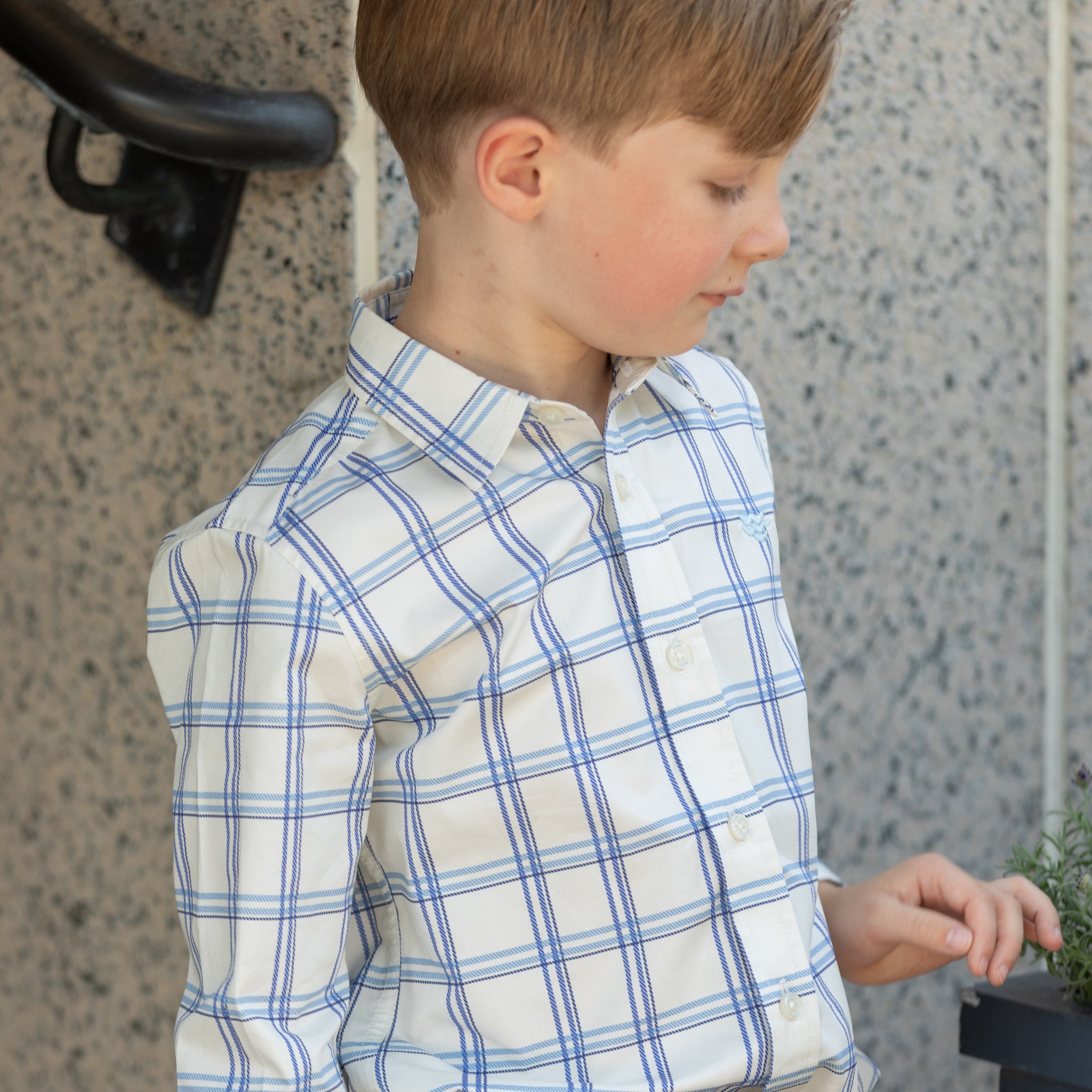 Henry Duvall Bennett Button Down in Prescott Plaid, classic boys fall dress shirt in crisp ivory and blue check, perfect for pairing with velvet trousers and coordinating sibling styles